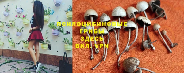 героин Алзамай